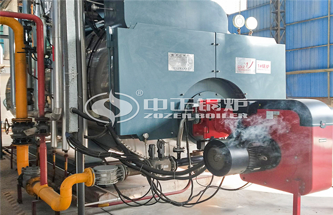 广东省10吨WNS系列燃气蒸汽锅炉项目